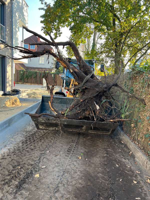 neubau_gartenanlage-1